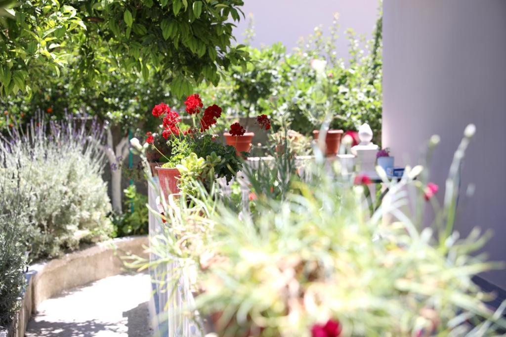 Guest House Narta Vlore Exterior photo